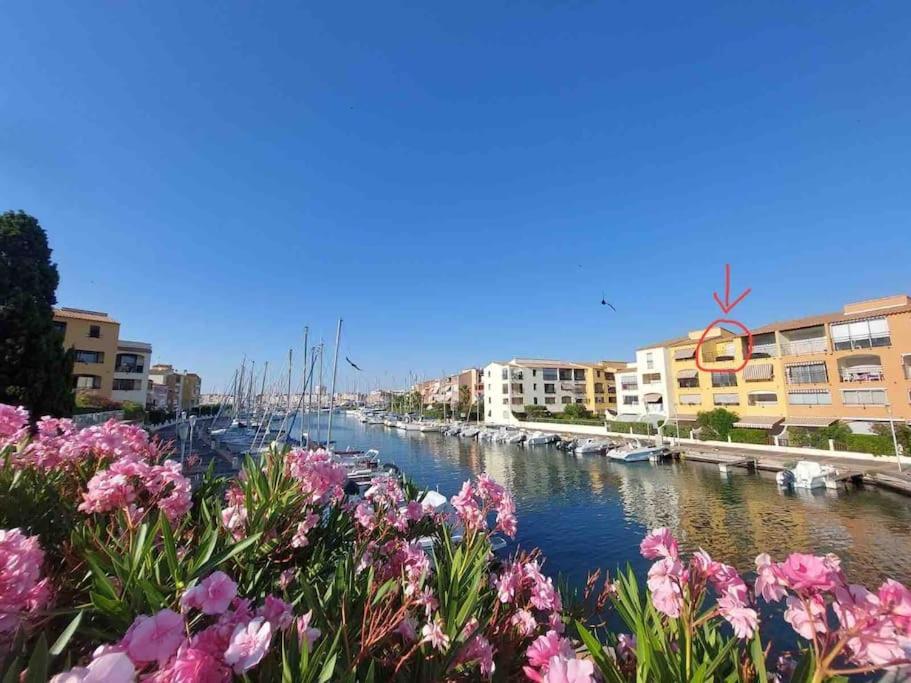 Cap'Nomad Studio Cote Port - Terrasse - Piscine - Parking Agde Εξωτερικό φωτογραφία