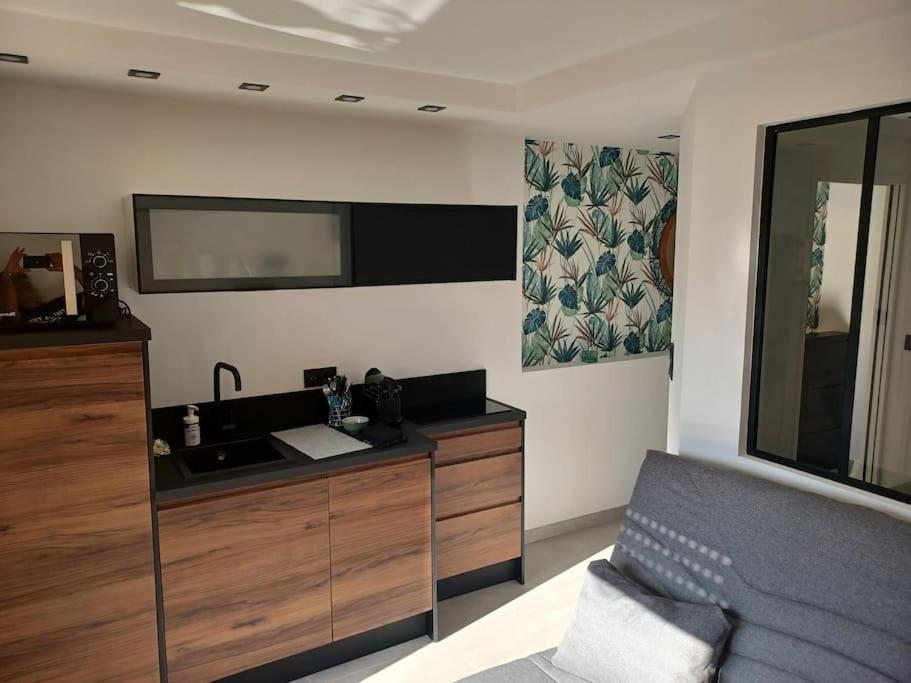 Cap'Nomad Studio Cote Port - Terrasse - Piscine - Parking Agde Εξωτερικό φωτογραφία
